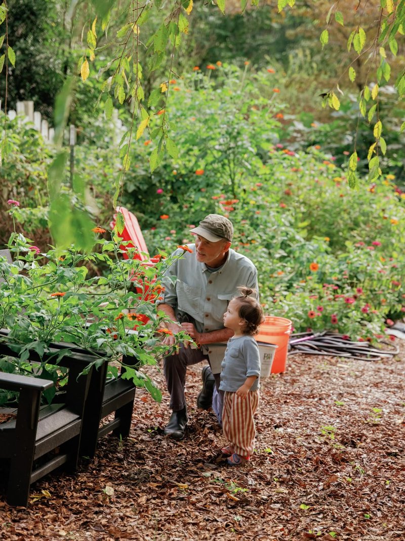 An older man and a toddler looking at flowers in a garden